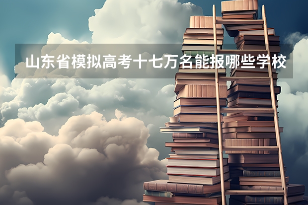 山东省模拟高考十七万名能报哪些学校？