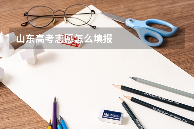 山东高考志愿怎么填报