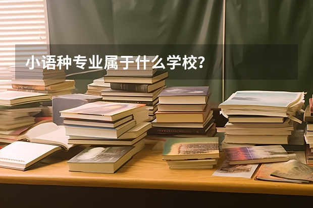 小语种专业属于什么学校？