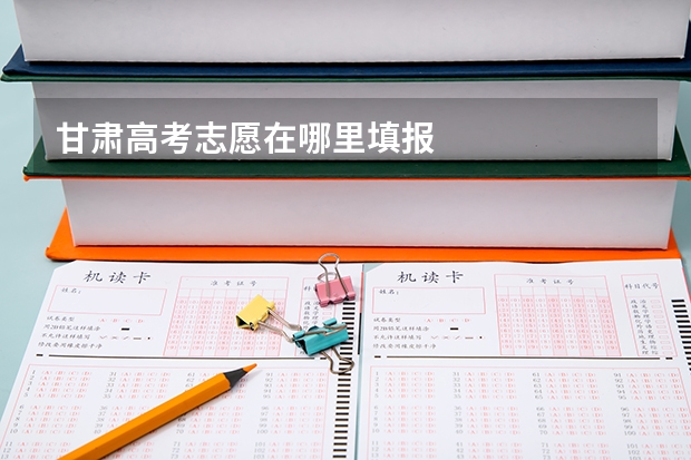 甘肃高考志愿在哪里填报
