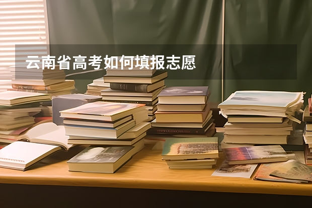 云南省高考如何填报志愿