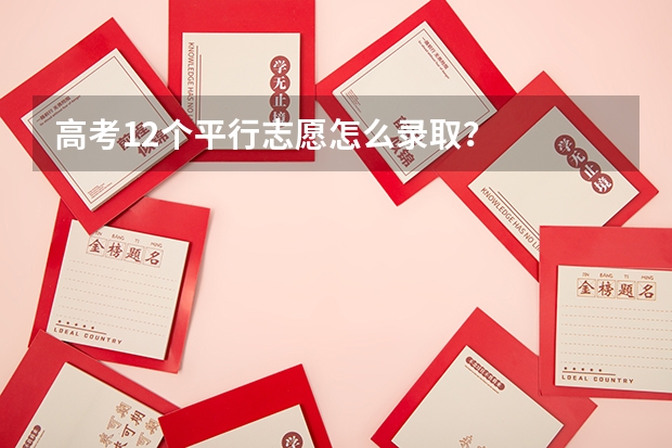 高考12个平行志愿怎么录取？