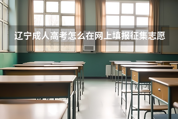 辽宁成人高考怎么在网上填报征集志愿
