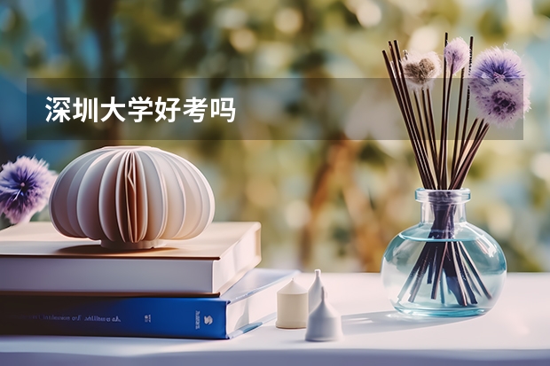 深圳大学好考吗