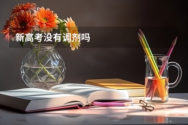新高考没有调剂吗