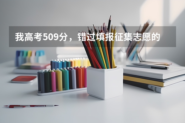 我高考509分，错过填报征集志愿的机会，该怎么办啊？？？我还可以征集那些学校啊？？急急急急！！！！