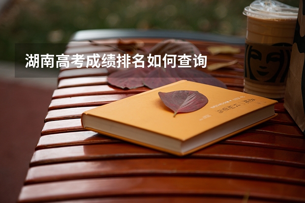 湖南高考成绩排名如何查询