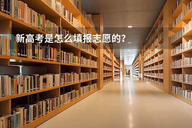 新高考是怎么填报志愿的？