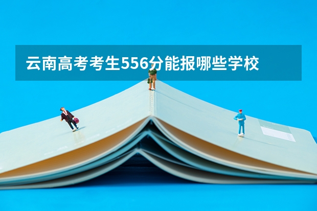 云南高考考生556分能报哪些学校