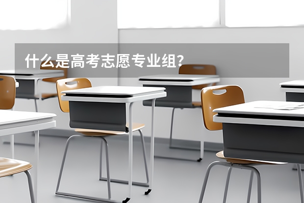 什么是高考志愿专业组？