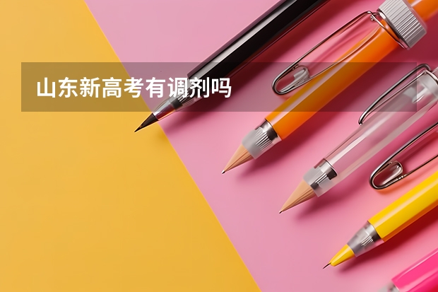 山东新高考有调剂吗