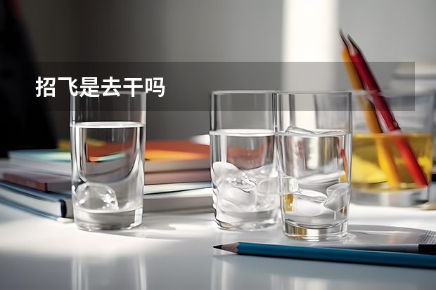 招飞是去干吗