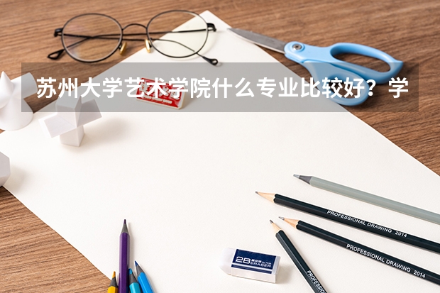 苏州大学艺术学院什么专业比较好？学校大吗？环境设计这个专业怎么样？
