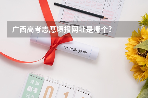 广西高考志愿填报网址是哪个?