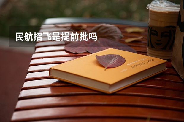 民航招飞是提前批吗