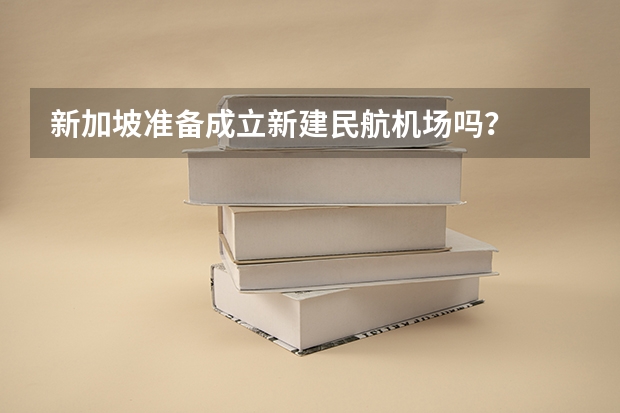 新加坡准备成立新建民航机场吗？
