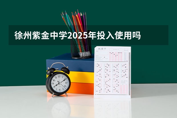 徐州紫金中学2025年投入使用吗