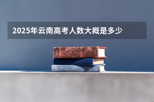 2025年云南高考人数大概是多少