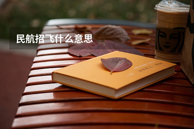 民航招飞什么意思
