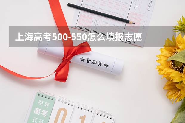 上海高考500-550怎么填报志愿