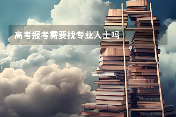 高考报考需要找专业人士吗