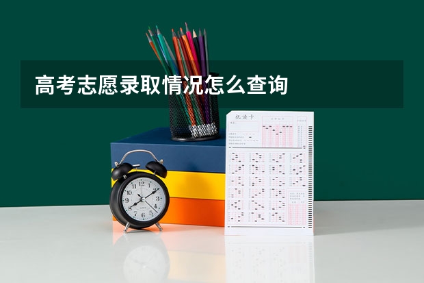 高考志愿录取情况怎么查询