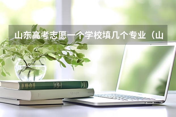 山东高考志愿一个学校填几个专业（山东高考报志愿详解）
