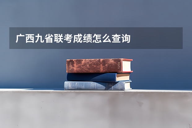 广西九省联考成绩怎么查询