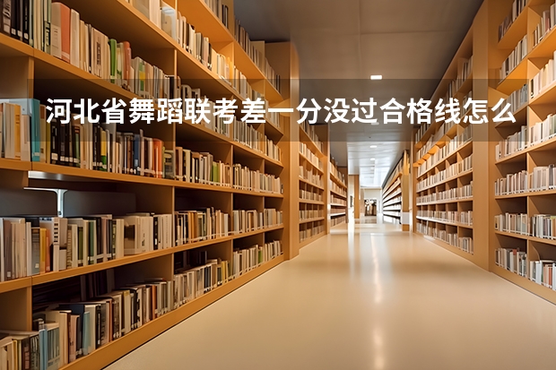 河北省舞蹈联考差一分没过合格线怎么办？