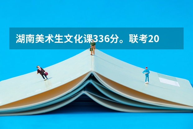 湖南美术生文化课336分。联考206分能上什么专业大学？