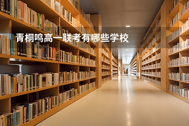 青桐鸣高一联考有哪些学校