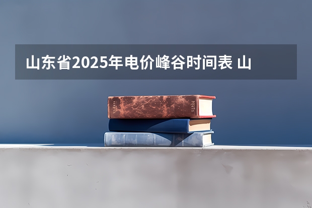 山东省2025年电价峰谷时间表 山东省事业编2025成绩公布时间