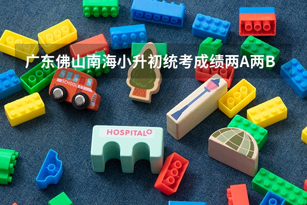 广东佛山南海小升初统考成绩两A两B能上公办吗