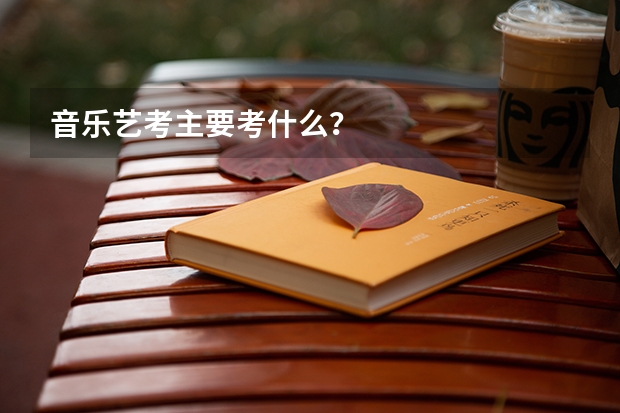 音乐艺考主要考什么？