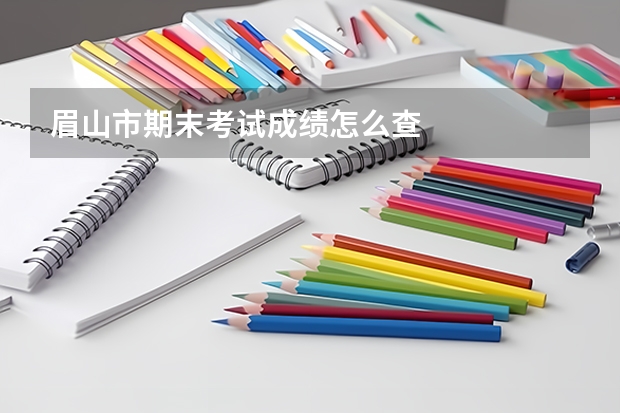 眉山市期末考试成绩怎么查